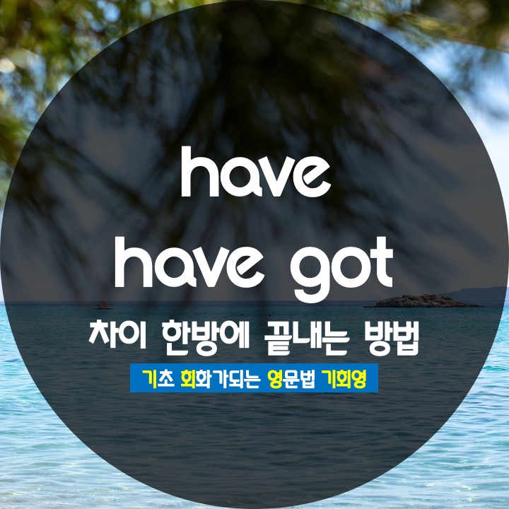 have have got 차이 확실하게 구분하는 방법 - 기회영