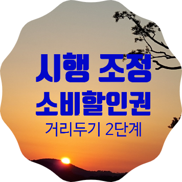 서울.경기 사회적 거리두기 2단계 격상에 따라 문화소비할인권 6종 시행시기 조정 시행