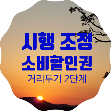  서울.경기 사회적 거리두기 2단계 격상에 따라 문화소비할인권 6종 시행시기 조정 시행