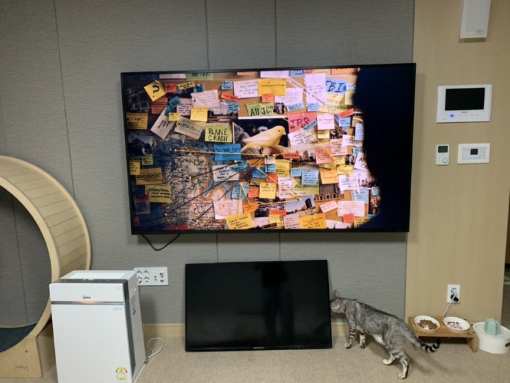  LG TV직구 75SM8670PUA 설치 및 사용 후기 (30평대 거실)