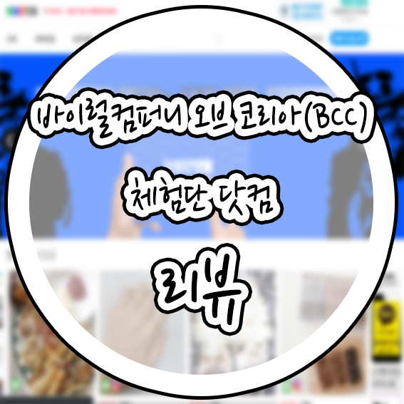  바이럴컴퍼니 오브 코리아가 운영하는 체험단닷컴