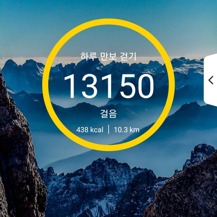  건강프로젝트] 79일차 6000보 이상 걷기 성공