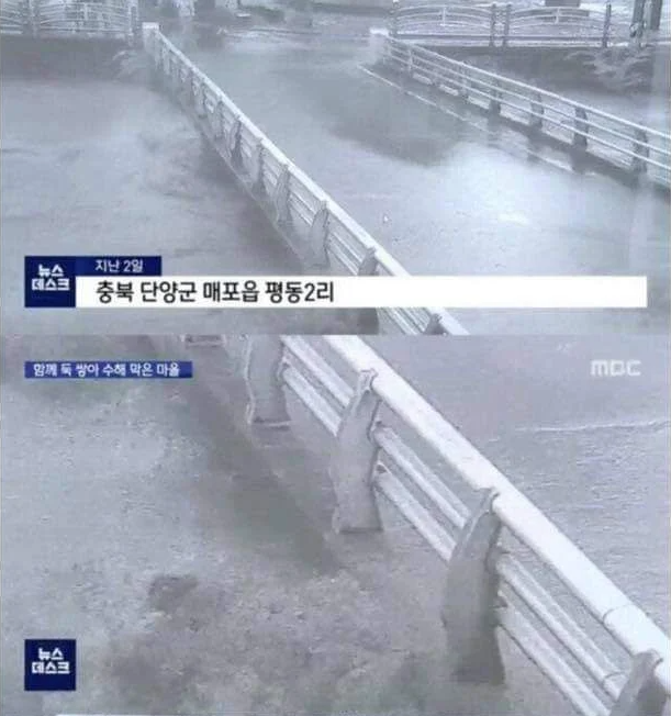  침수 피해를 막은 이장의 결단력 (ft. 이장의 존재이유)