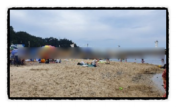  동해안 해안도로 드라이브 ! 안인해변~정동진~헌화로 까지