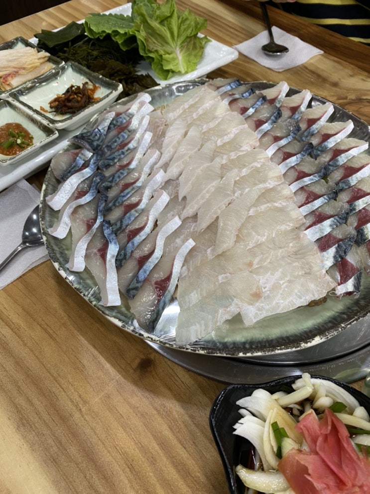  제주 청파식당횟집 고등어회 맛집 세화맛집