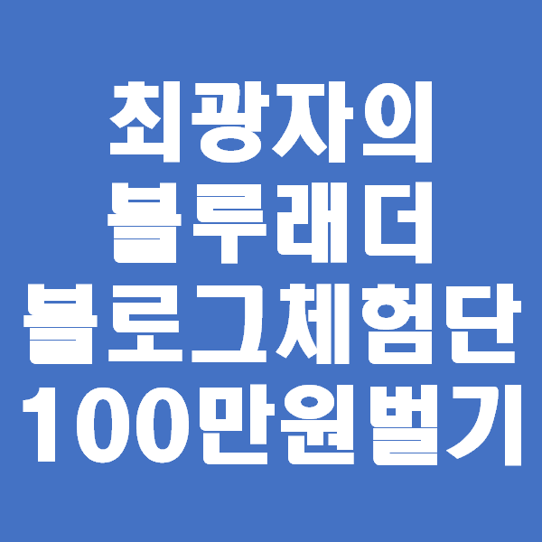  크몽전자책 블로그체험단 월100만원 벌기 구입후기