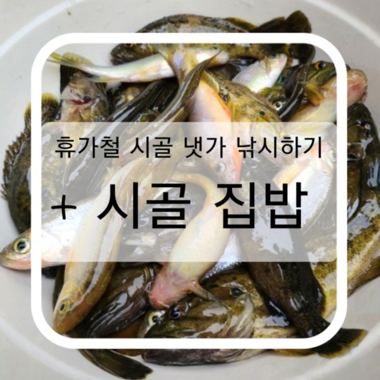  휴가철에 시골 냇가 낚시하기 그리고 푸짐한 집밥 먹기(^o^)