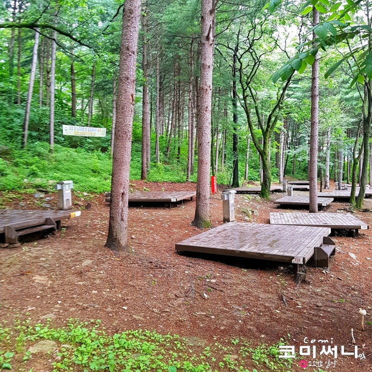 경기도 가평 국립 유명산자연휴양림 야영데크 둘러보기 경기도 가평 국립 유명산자연휴양림 야영데크 둘러보기