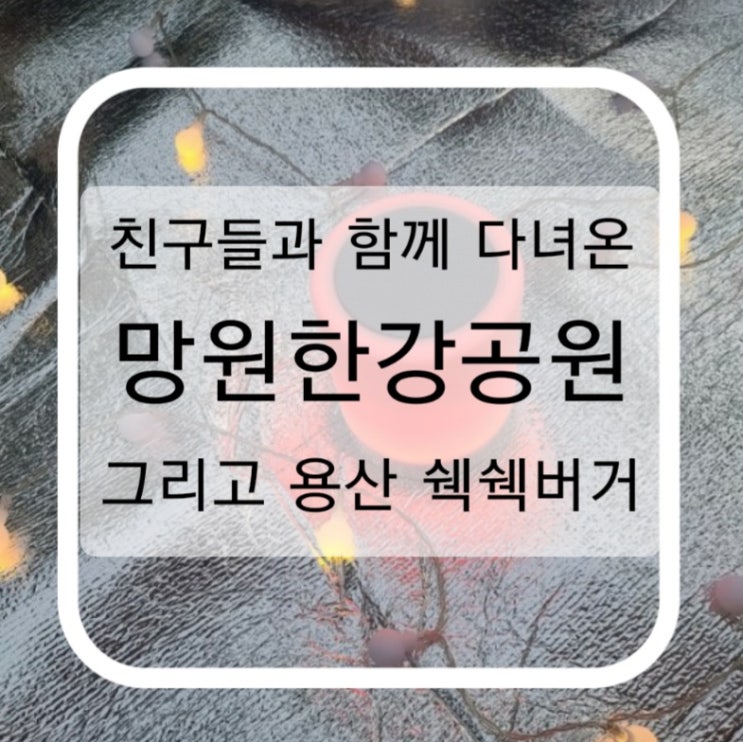  친구들과 함께 다녀온  망원한강공원 그리고 용산 쉑쉑버거 소소한 후기:D
