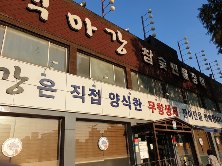  [맛집] 복날 특집 장어구이ㅡ백마강 참숯민물장어 대전점