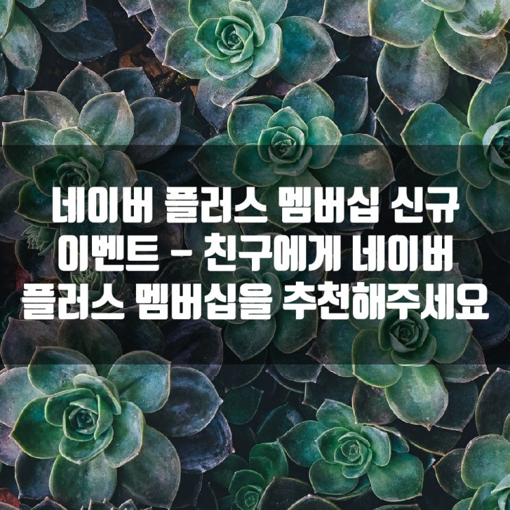  네이버 플러스 멤버십 신규 이벤트 - 친구에게 네이버 플러스 멤버십을 추천해주세요