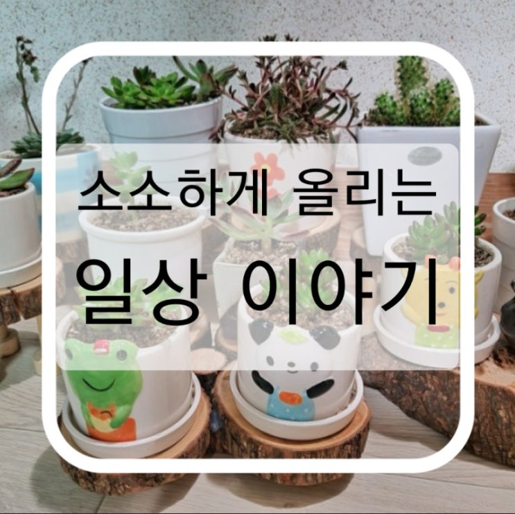  소소하게 올리는 일상이야기(이것저것 뒤죽박죽):D