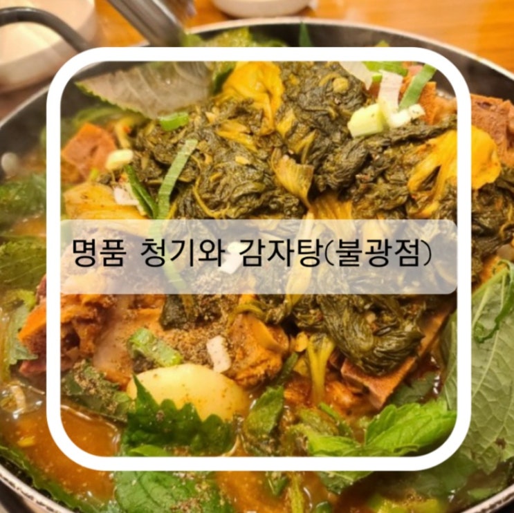  감자탕이 먹고 싶을땐 명품 청기와감자탕(불광점)