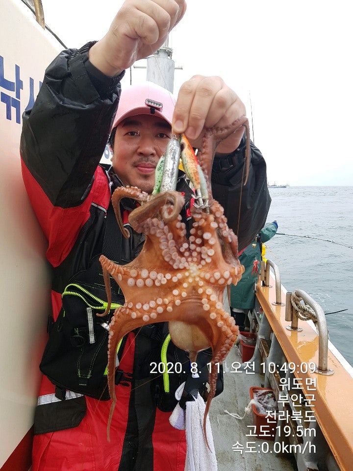 군산문어낚시가 시작되다 돌문어 가즈아~ 군산배낚시 창성호 : 네이버 블로그