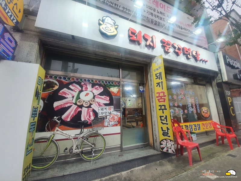 돼지꿈꾸던날 이미지