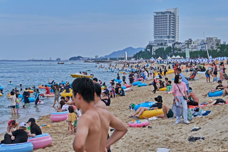 경포해수욕장 막바지 무더위를 식히는 사람들 경포해수욕장 막바지 무더위를 식히는 사람들