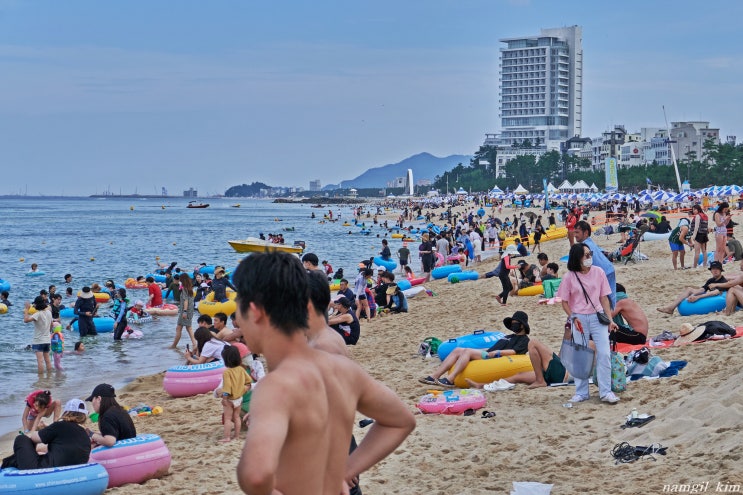 경포해수욕장 막바지 무더위를 식히는 사람들