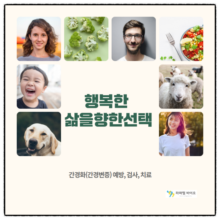  행복한 삶을 향한 선택, 간경화(간경변증) 예방, 검사, 줄기세포치료