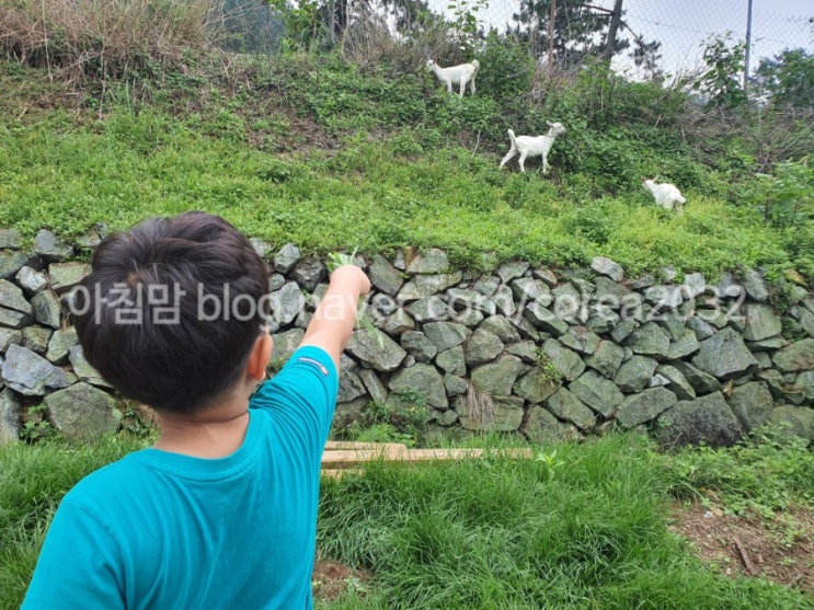  [아이랑 남해 여행] 남해 양모리 학교