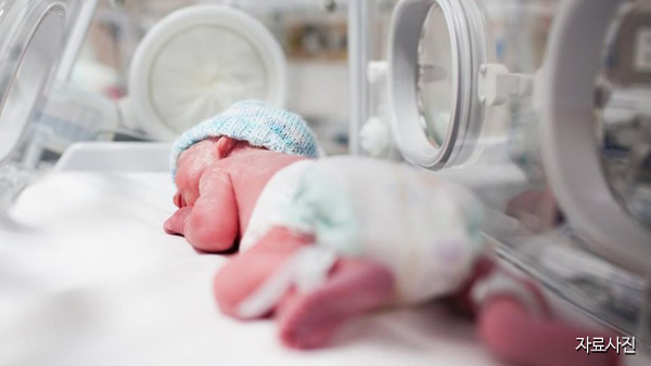 [속닥속닥 육아정보] 미숙아 및 선천성이상아 의료비 지원 / 분당서울대 신생아 집중치료실