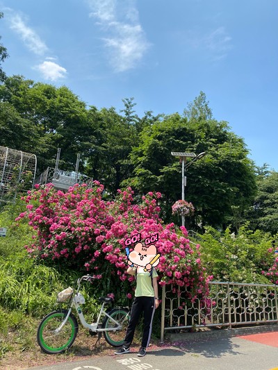  [서울/양재] 직장인 휴무 알차게 쓰는 법 양재천 자전거 라이딩