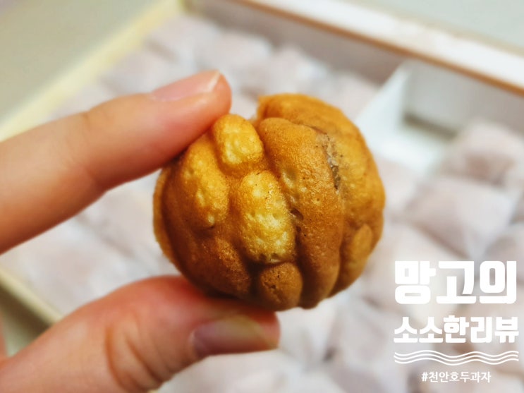  [76년전통 천안 명물] 천호당&천안당 호두과자 먹어보기!!