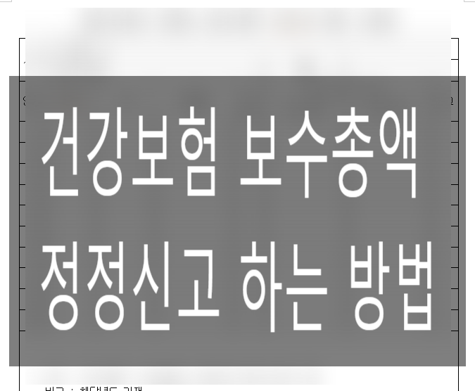  건강보험 보수총액 정정 신고하기