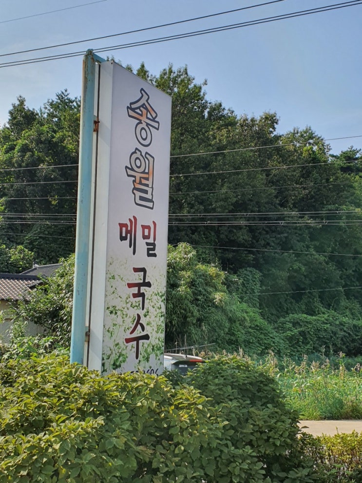  양양 송월 메밀국수 / 국수도 두부도 맛나요