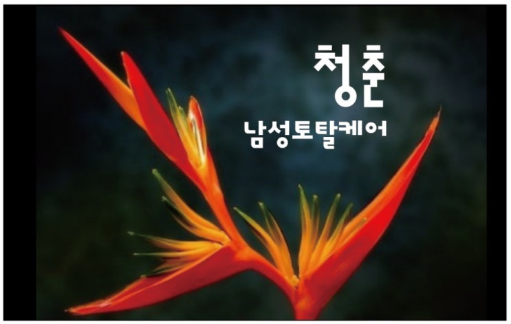  '청춘'의 명함이 나왔어요!
