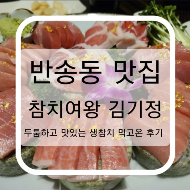 반송동 참치여왕 김기정 완전 두툼하고 맛있는 생참치 먹으러 고고