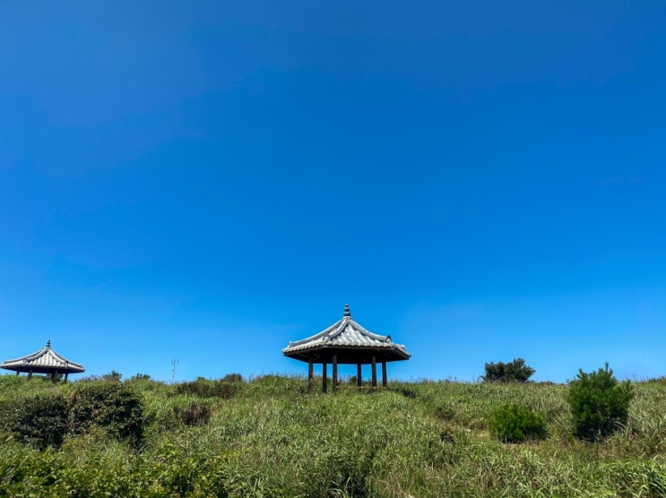 대구 비슬산 등산(유가사 코스, 유가사 찻집)