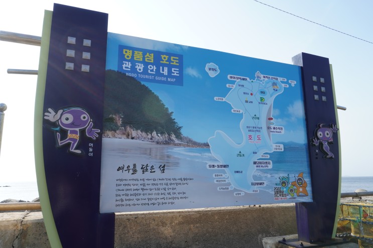 대천 호도섬 여행 10년차 꿀팁 (신한해운, 대천민박 그리고 생존기)