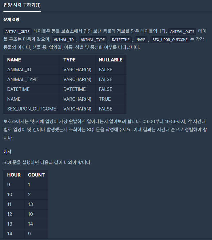 프로그래머스 SQL: 입양 시각 구하기(1) // MySQL