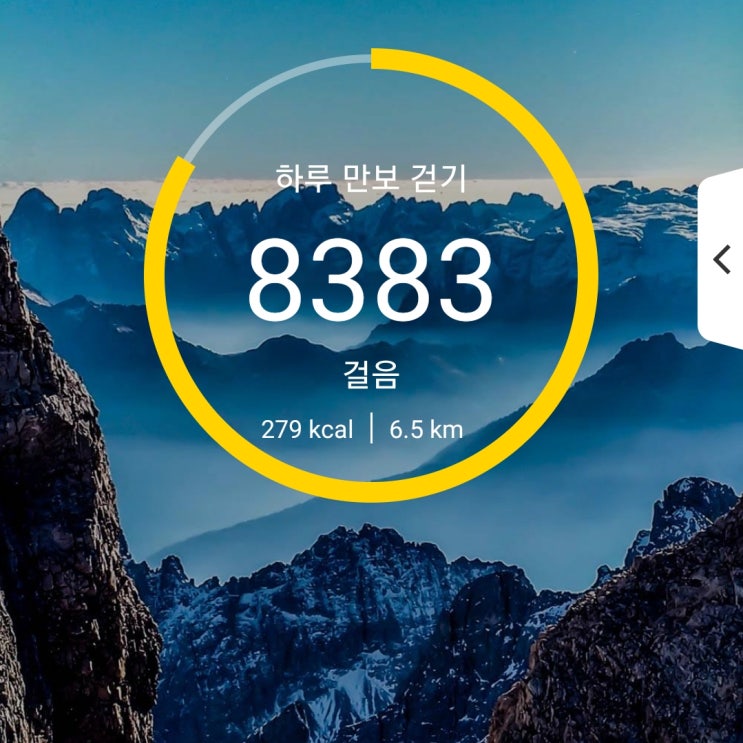  [건강프로젝트] 81일차 6000보 이상 걷기 성공