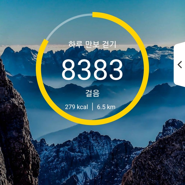 [건강프로젝트] 81일차 6000보 이상 걷기 성공