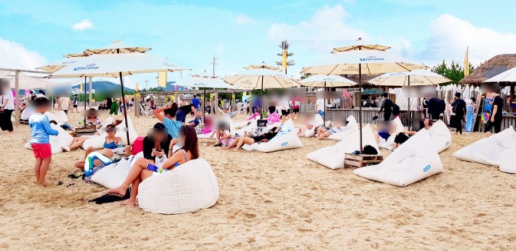  양양 서피비치 반려견 동반가능 해변