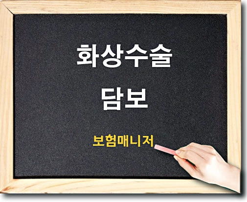  현대해상 태아보험 화상수술의 내용 확인합니다.