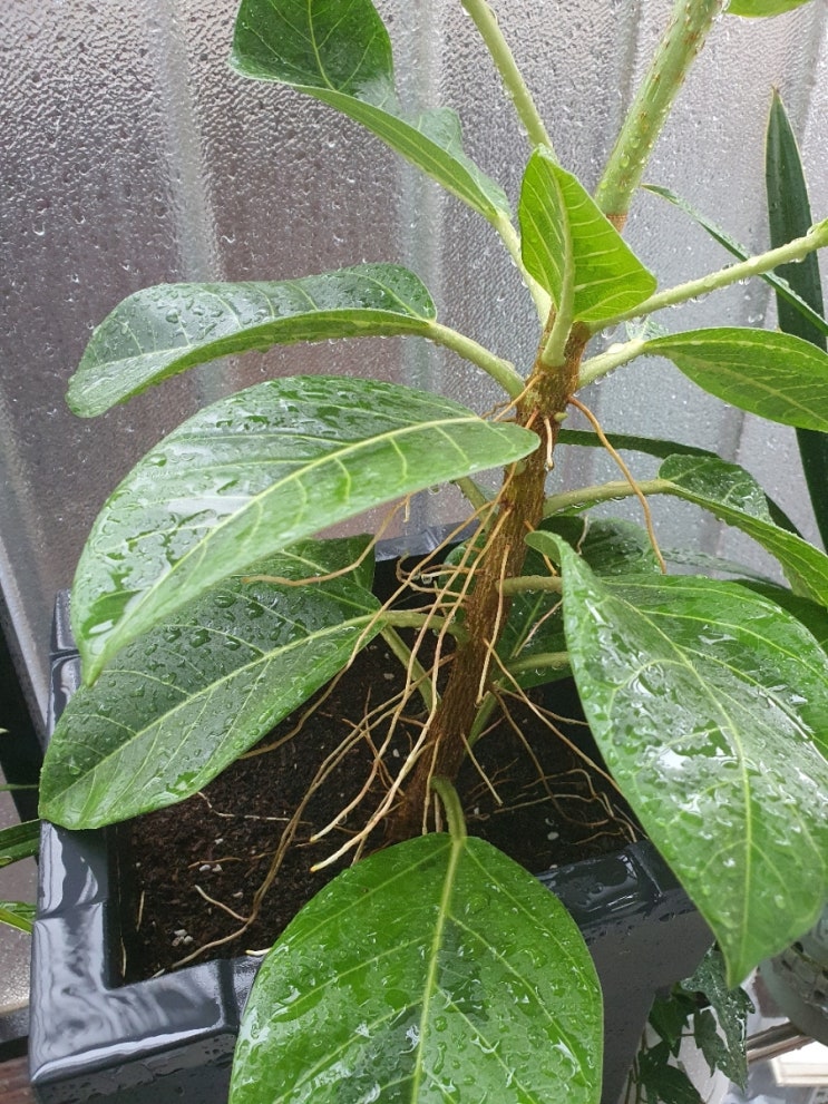  매일 하는 일