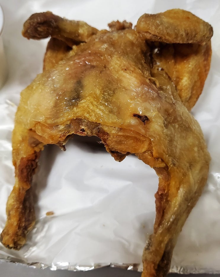  몸키우기 진행중