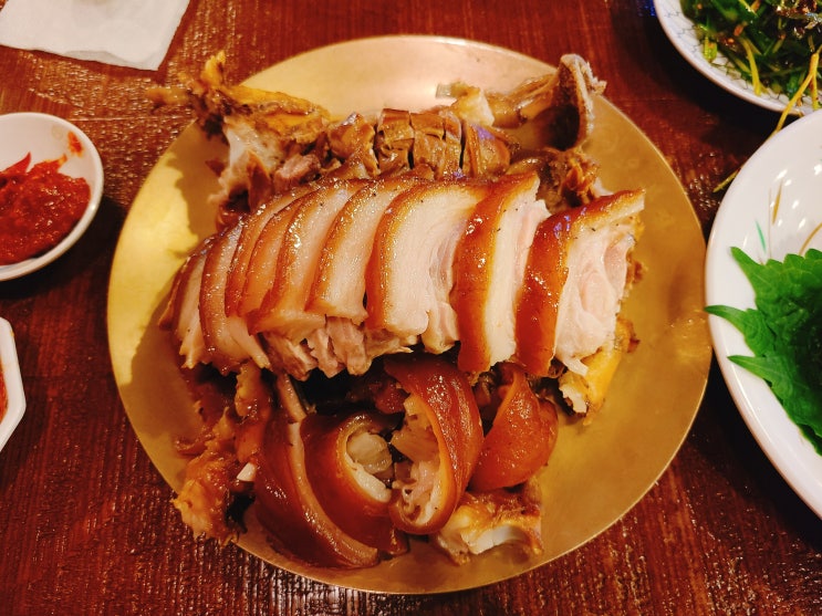 오목집 시청점 분위기 좋은 족발 맛집 첫방문 솔직 후기 오목집 시청점 분위기 좋은 족발 맛집 첫방문 솔직 후기