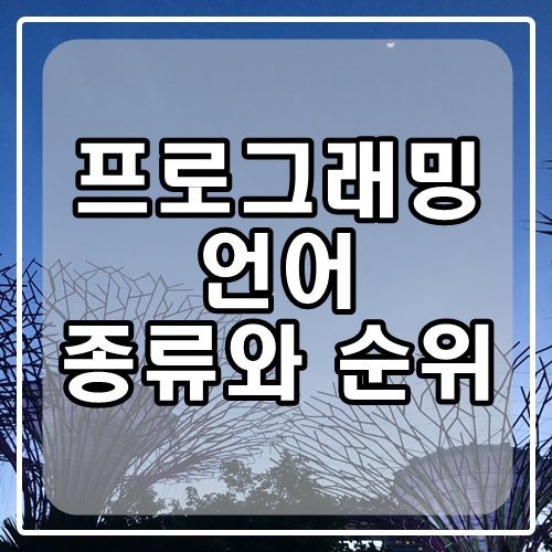  프로그래밍 언어 종류와 프로그래밍 언어 순위는?