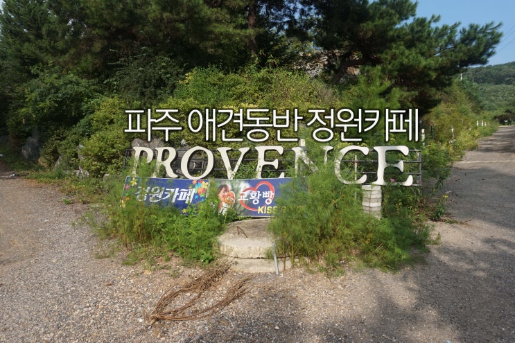  파주 애견동반 식물카페 [프로방스카페정원]
