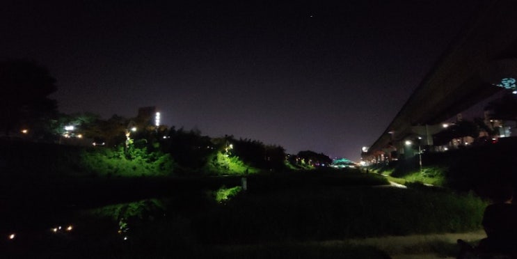  2020년08월19일 수요일 - 드론수리, 엄니랑 해반천 산책