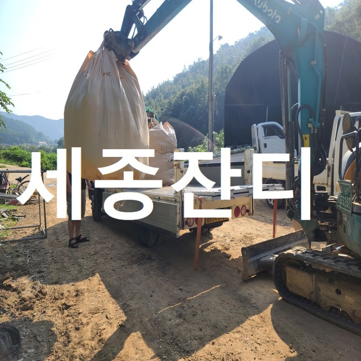  대한민국 중부 세종잔디 배송