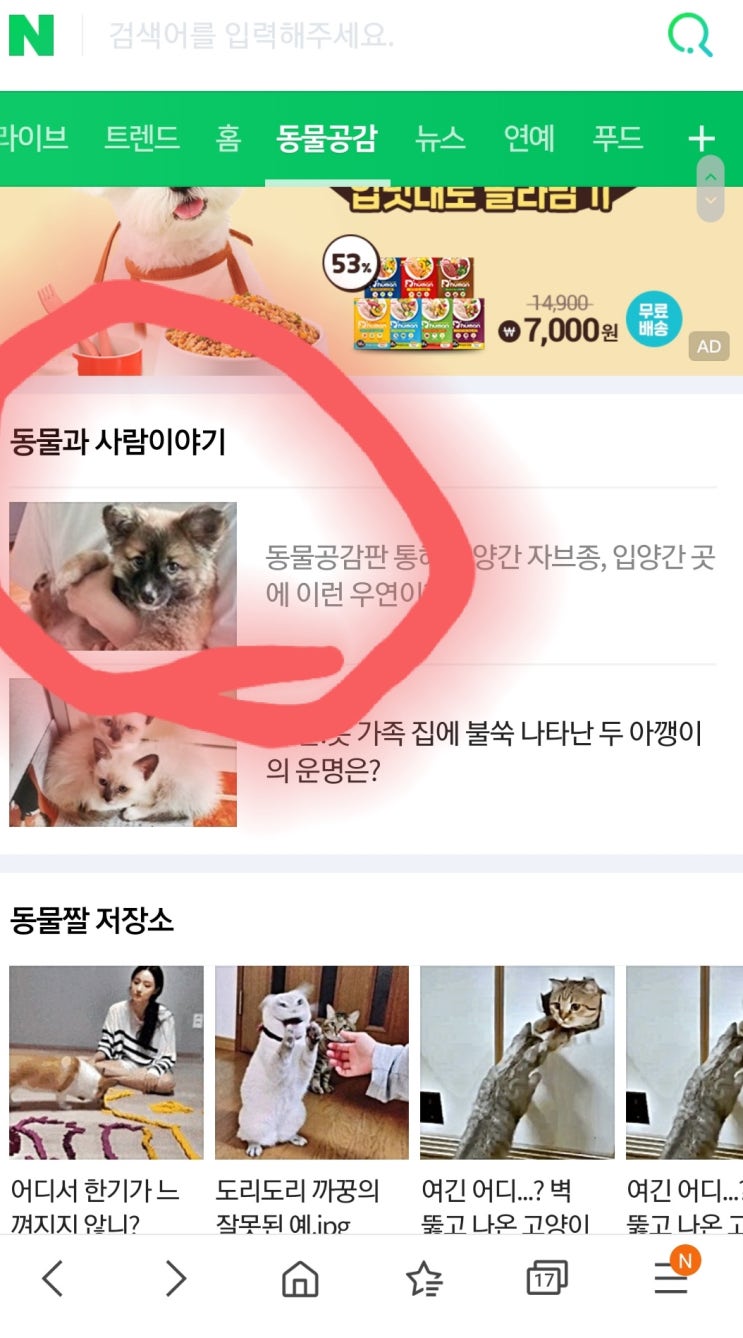 해남(레니)이랑 쭈쭈 (올리)덕분에 동물공감판 '동물과 사람이야기' 메인에