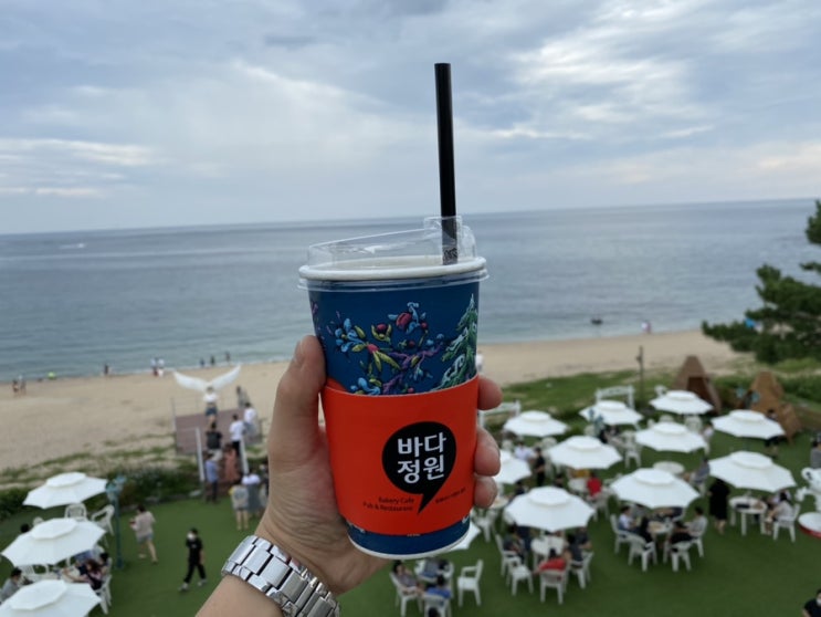  고성 바다정원 해변과 이어진 넓은 카페, 야외 테라스, 오션뷰 ,가족끼리 가기 좋은곳