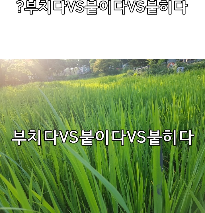  한글 맞춤법 부치다VS붙이다VS붙히다