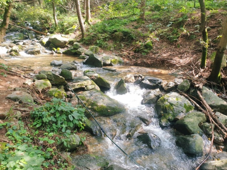  검단산 계곡 현충탑