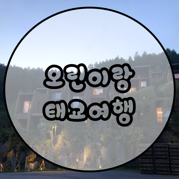  리솜포레스트 예약 후기 힐링여행 태교여행 리조트 스파뿌시기