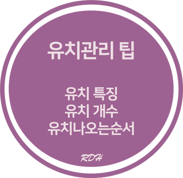  유치 관리 꿀팁/ 유치 특징/유치 개수/ 유치 나는 순서 :: 치과위생사의 유치 이야기